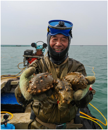 202110250819540905.png 202110250819540905.png