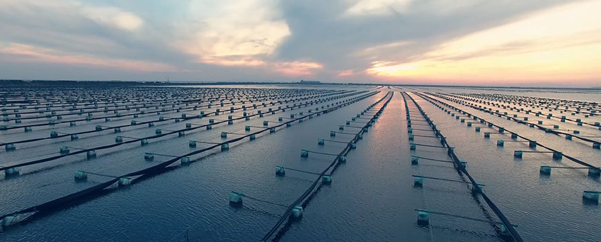 好當家高效農(nóng)業(yè).jpg 好當家高效農(nóng)業(yè).jpg